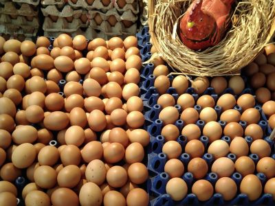 huevos en venta