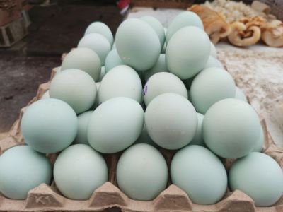 venta de huevos mapuche